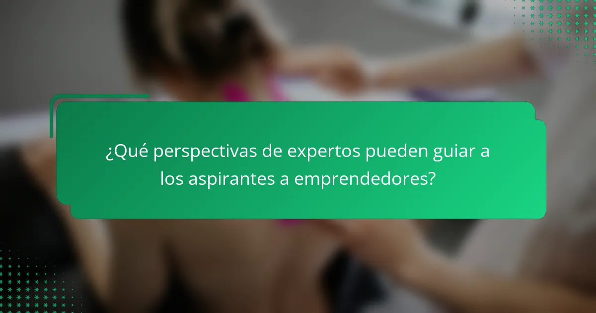¿Qué perspectivas de expertos pueden guiar a los aspirantes a emprendedores?